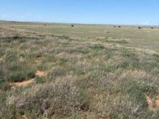 Listing Image #3 - Others for sale at Bluegrass Rd,-Tract 4S, Estancia NM 87016