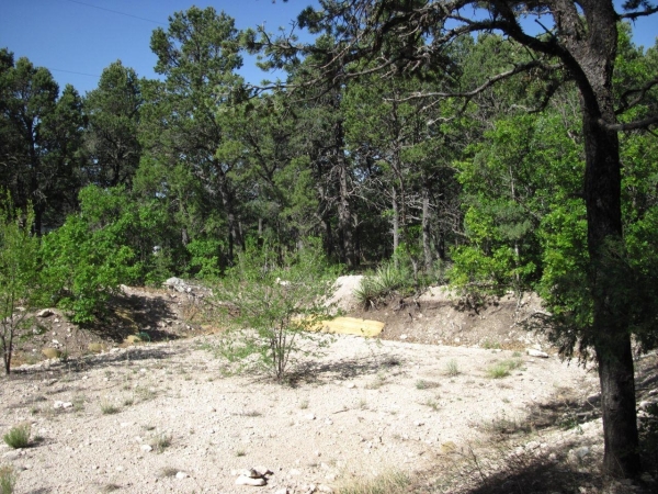 Listing Image #3 - Others for sale at 29 LARK Road, Tijeras NM 87059