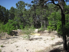 Listing Image #3 - Others for sale at 29 LARK Road, Tijeras NM 87059