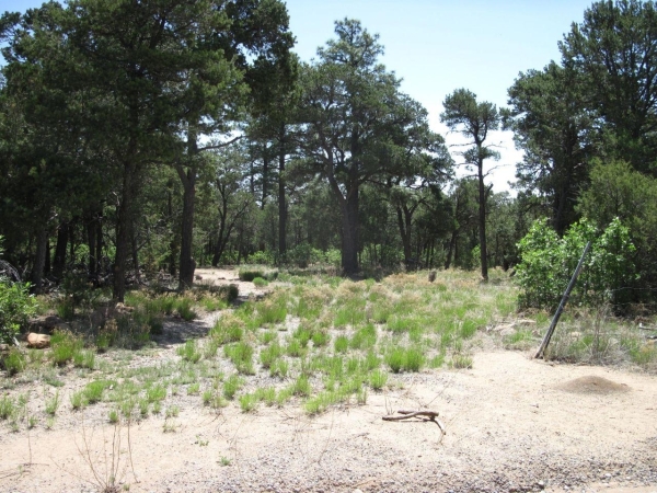 Listing Image #1 - Others for sale at 7 BLACKBIRD Road, Tijeras NM 87059