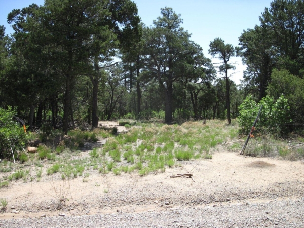 Listing Image #2 - Others for sale at 7 BLACKBIRD Road, Tijeras NM 87059