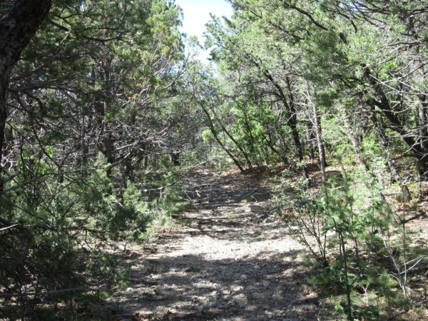Listing Image #3 - Others for sale at 8 & 10 Roadrunner Road, Tijeras NM 87059