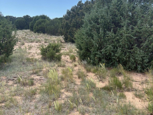Listing Image #2 - Others for sale at Wilson Ranch Lot#8, Tajique NM 87016
