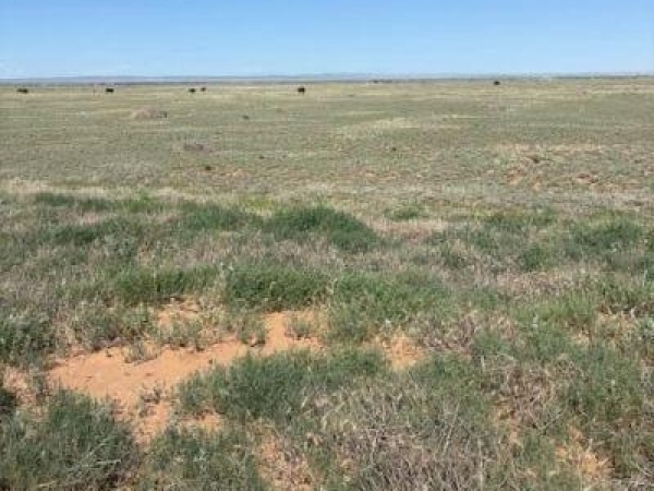 Listing Image #1 - Others for sale at Bluegrass Rd Tract 1S, Estancia NM 87016