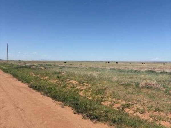 Listing Image #2 - Others for sale at Bluegrass Rd Tract 1S, Estancia NM 87016