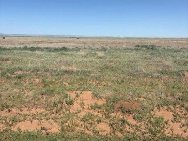 Listing Image #3 - Others for sale at Bluegrass Rd Tract 1S, Estancia NM 87016