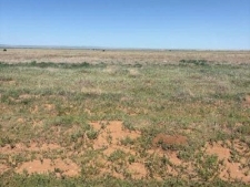 Listing Image #3 - Others for sale at Bluegrass Rd Tract 1S, Estancia NM 87016