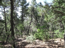 Listing Image #2 - Others for sale at 1 OWL Road, Tijeras NM 87059