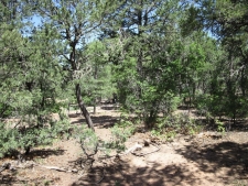 Listing Image #3 - Others for sale at 1 OWL Road, Tijeras NM 87059