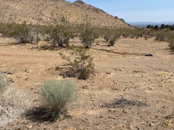 Listing Image #3 - Land for sale at 0 Roanoke Road, Apple Valley CA 92307