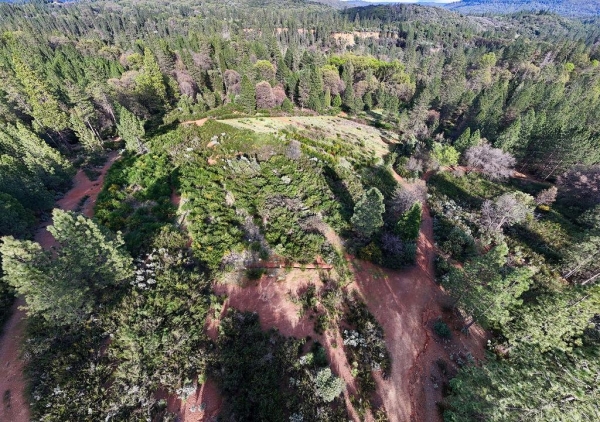 Listing Image #2 - Land for sale at 11192 Sebastopol Road, North San Juan CA 95960