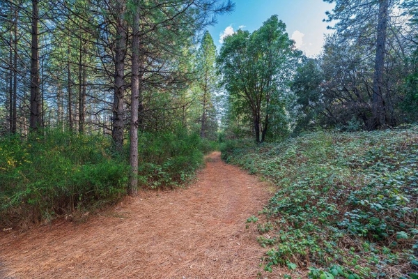 Listing Image #3 - Land for sale at 11192 Sebastopol Road, North San Juan CA 95960
