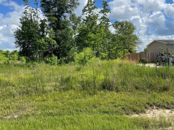 Listing Image #2 - Land for sale at 1819 Road 5730, Cleveland TX 77327