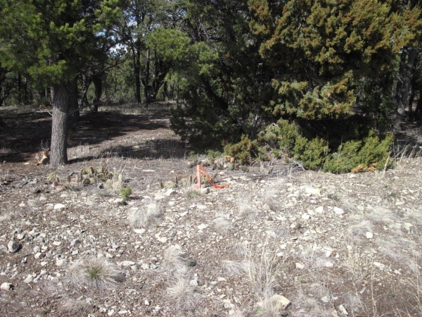 Listing Image #3 - Others for sale at 207 VIA SEDILLO Road, Tijeras NM 87059