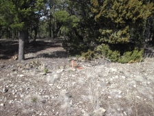 Listing Image #3 - Others for sale at 207 VIA SEDILLO Road, Tijeras NM 87059