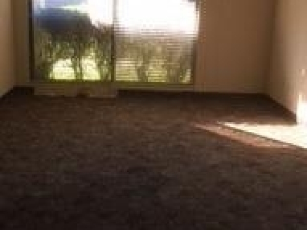 Listing Image #3 - Others for sale at 1501 N Norwood Drive, Hurst TX 76054