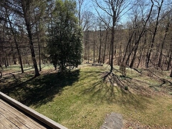 Listing Image #3 - Others for sale at 419 York Road, New Hope PA 18938