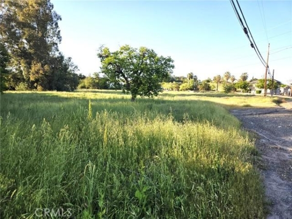 Listing Image #2 - Land for sale at Oro Dam, Oroville CA 95966