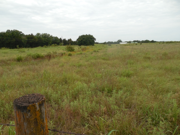 Listing Image #3 - Land for sale at S. Rose Road Tract 4, Stillwater OK 74074