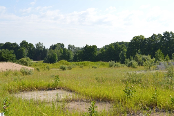 Listing Image #2 - Land for sale at 7573 Alden Highway, Bellaire MI 49615