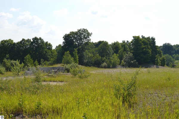Listing Image #3 - Land for sale at 7573 Alden Highway, Bellaire MI 49615