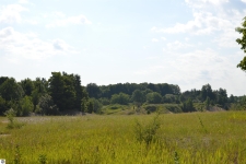 Land property for sale in Bellaire, MI