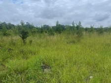 Others for sale in Bainbridge, GA