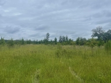 Listing Image #2 - Others for sale at 00 Belcher Lane, Bainbridge GA 39817