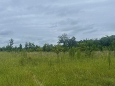 Listing Image #3 - Others for sale at 00 Belcher Lane, Bainbridge GA 39817