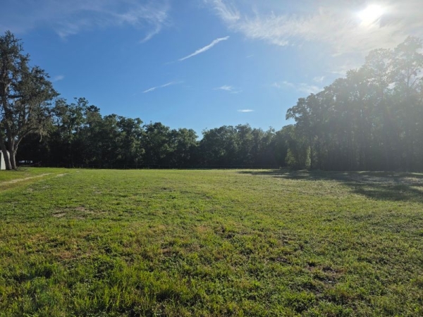 Listing Image #1 - Retail for sale at TBD SE Hwy 19, Old Town FL 32680
