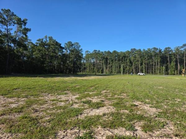 Listing Image #2 - Retail for sale at TBD SE Hwy 19, Old Town FL 32680