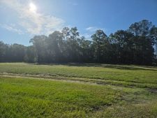 Listing Image #3 - Retail for sale at TBD SE Hwy 19, Old Town FL 32680