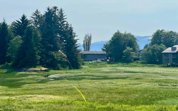 Listing Image #2 - Land for sale at 0 National Park Service Rd, Juneau AK 99801