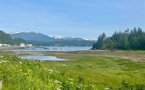 Listing Image #3 - Land for sale at 0 National Park Service Rd, Juneau AK 99801