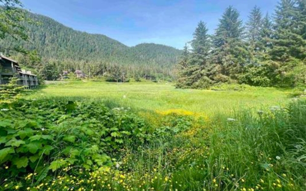 Listing Image #4 - Land for sale at 0 National Park Service Rd, Juneau AK 99801