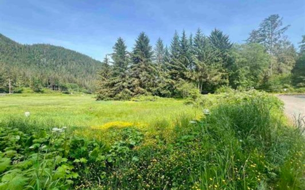 Listing Image #5 - Land for sale at 0 National Park Service Rd, Juneau AK 99801