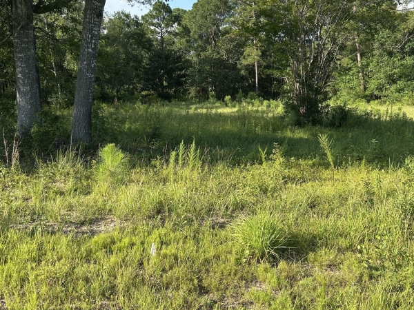 Listing Image #1 - Land for sale at 0 Woolmarket Road, Biloxi MS 39532