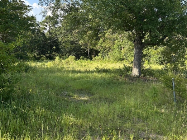 Listing Image #3 - Land for sale at 0 Woolmarket Road, Biloxi MS 39532