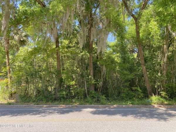 Listing Image #3 - Land for sale at 410 Vernon Ave, Crescent City FL 32112