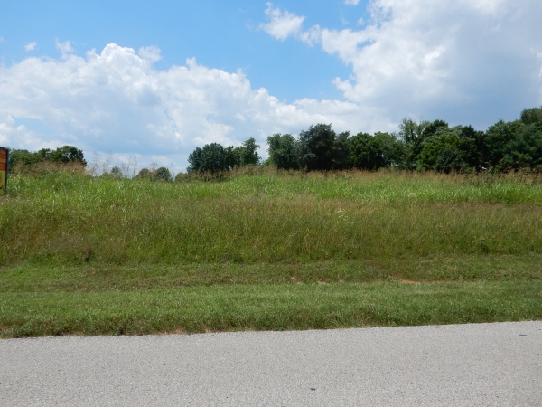 Listing Image #2 - Land for sale at Tract 6 Hebron Ln, Shepherdsville KY 40165