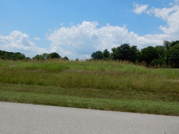 Listing Image #3 - Land for sale at Tract 6 Hebron Ln, Shepherdsville KY 40165