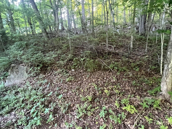 Listing Image #2 - Land for sale at 3507 Shadowbend Ln, Clarksville TN 37043 Listing Image #2 - Land for sale at 3507 Shadowbend Ln, Clarksville TN 37043