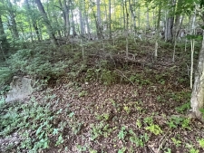 Listing Image #2 - Land for sale at 3507 Shadowbend Ln, Clarksville TN 37043 Listing Image #2 - Land for sale at 3507 Shadowbend Ln, Clarksville TN 37043