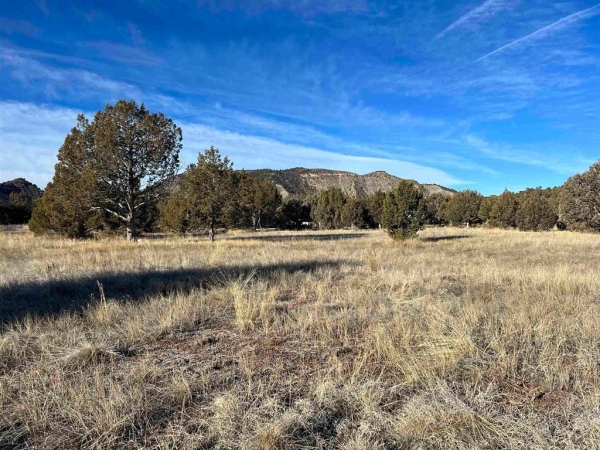 Listing Image #3 - Land for sale at TBD High Flume Drive, Durango CO 81303