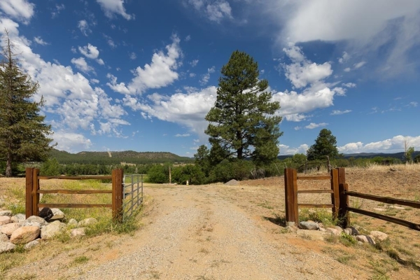 Listing Image #2 - Land for sale at 1393 County Road 501, Bayfield CO 81122