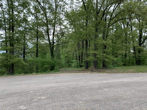 Listing Image #1 - Others for sale at 2714 W Matthews, Jonesboro AR 72401