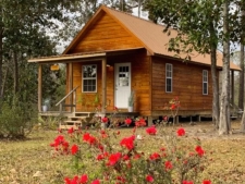 Others for sale in Perkinston, MS