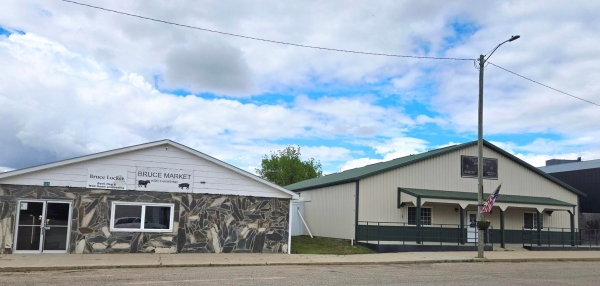 Listing Image #1 - Others for sale at 503/505 Jay St, Bruce SD 57220