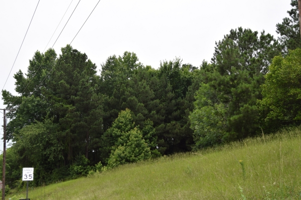 Listing Image #1 - Land for sale at #1 Main, Minden LA 71055