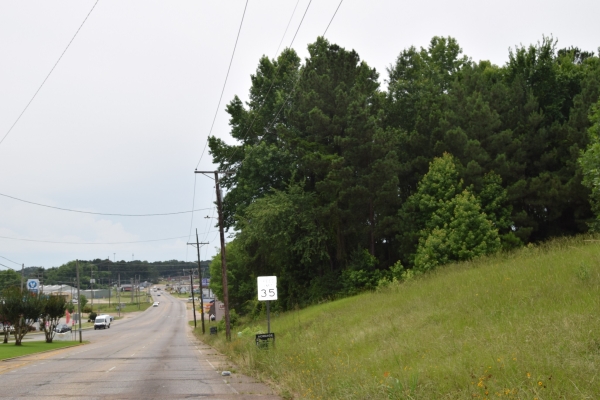 Listing Image #2 - Land for sale at #1 Main, Minden LA 71055